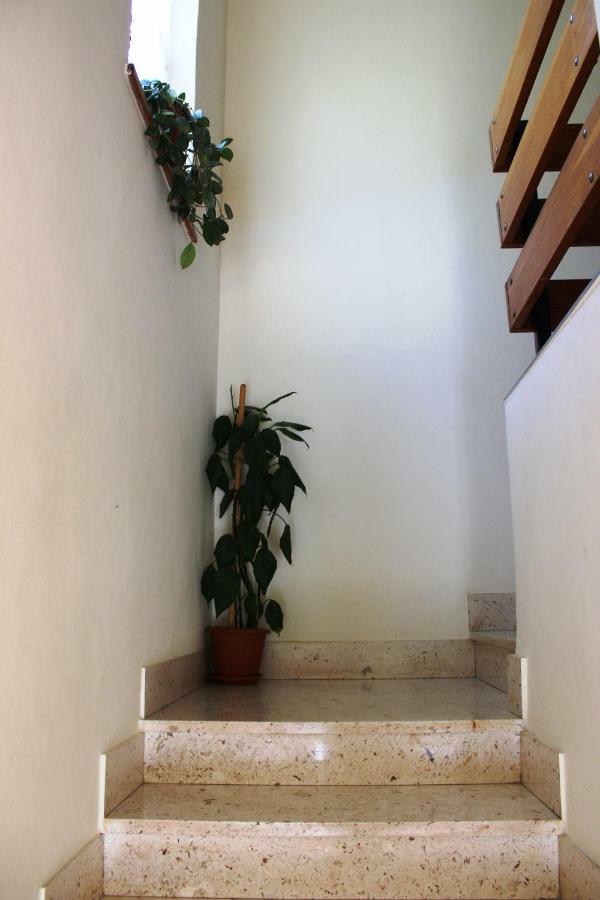 Apartments Markov مورتير المظهر الخارجي الصورة